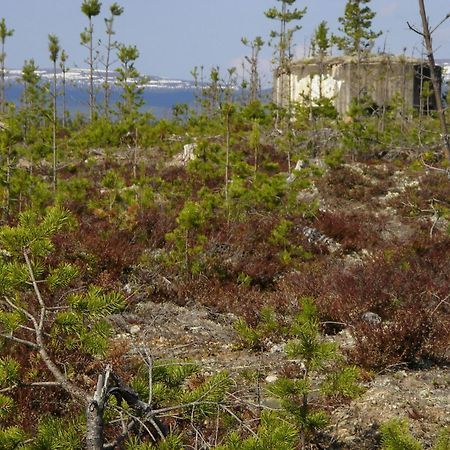 Saelens Vandrarhem I Graesheden Stoten Luaran gambar