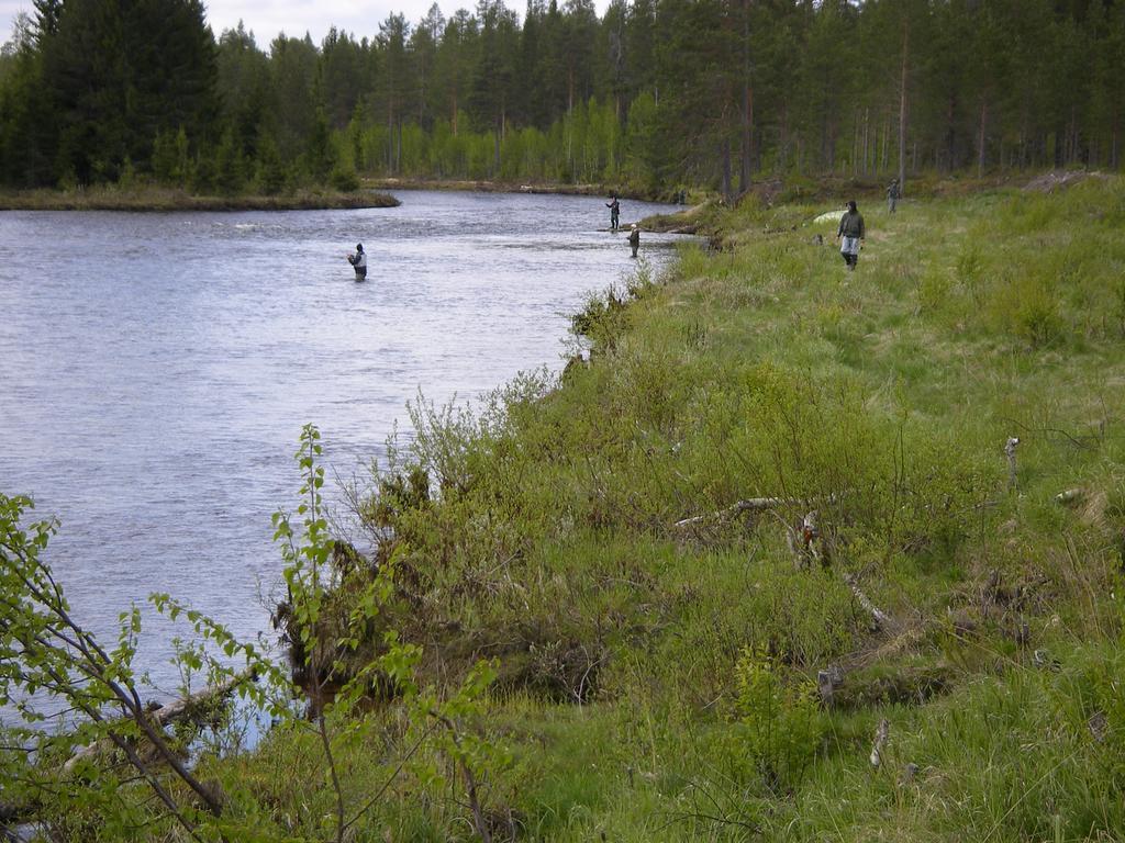 Saelens Vandrarhem I Graesheden Stoten Luaran gambar