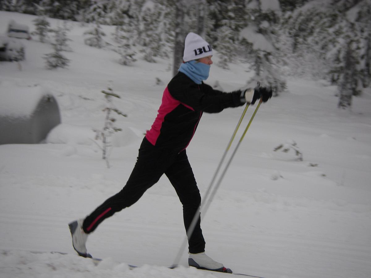 Saelens Vandrarhem I Graesheden Stoten Luaran gambar